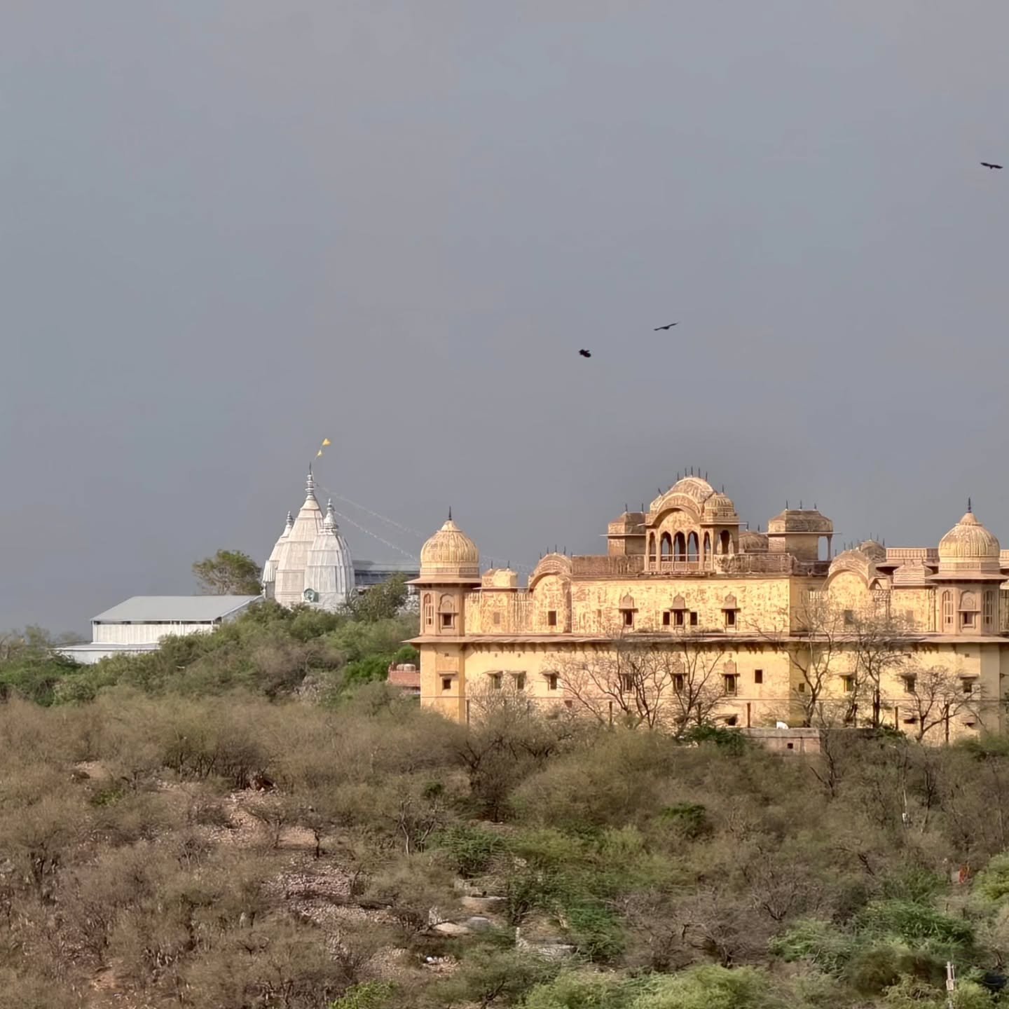 Maan Garh Peak View